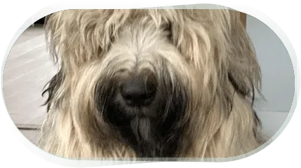 hero-img